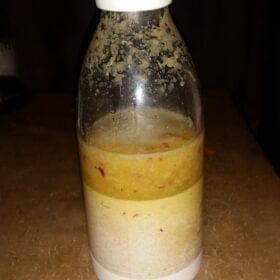 Bouteille de jus de fruit - Mixer to Go photo review
